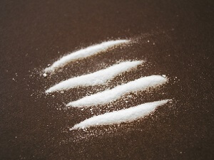 Florida's cocaine laws and penalties