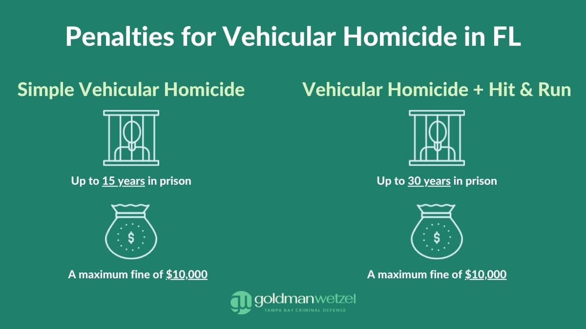 graphic showing the penalties for vehicular homicide in florida