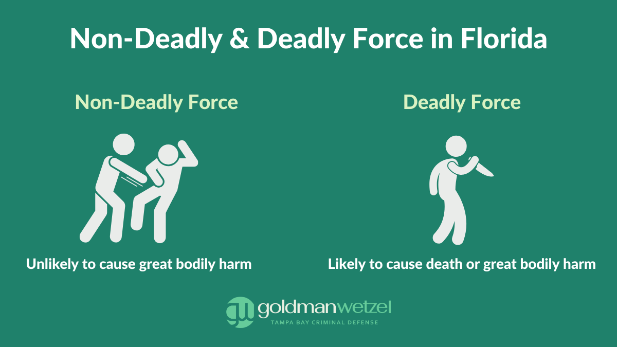 graphic explaining the difference between non deadly and deadly force in florida